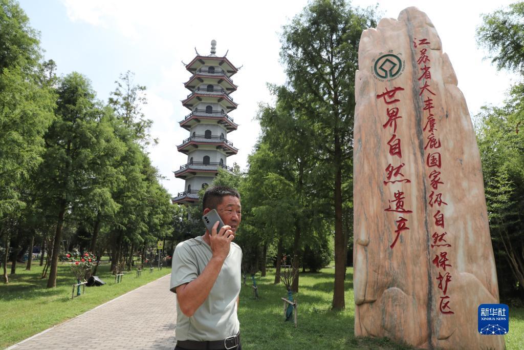 姚记大神捕鱼网页版